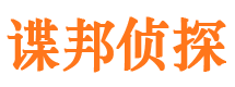 方正市调查公司